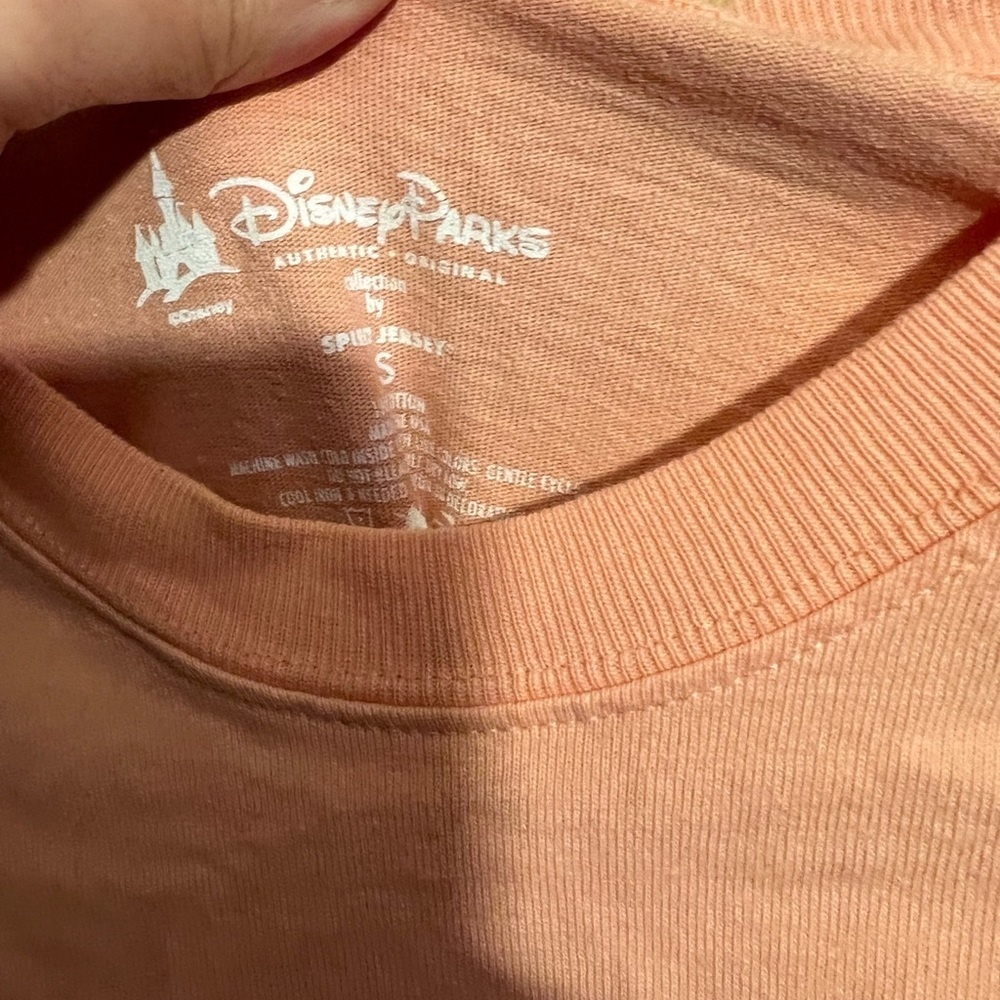 Walt Disney World View 3